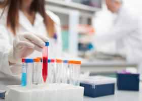 Cancer Therapeutics Program