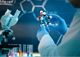 Cancer Biology Program